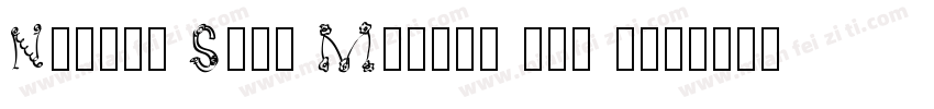 Neulis Sans Medium all caps字体转换